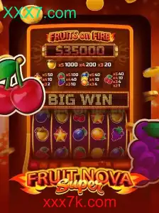 Explorando o Universo de FruitNovaSuper: Um Guia Completo